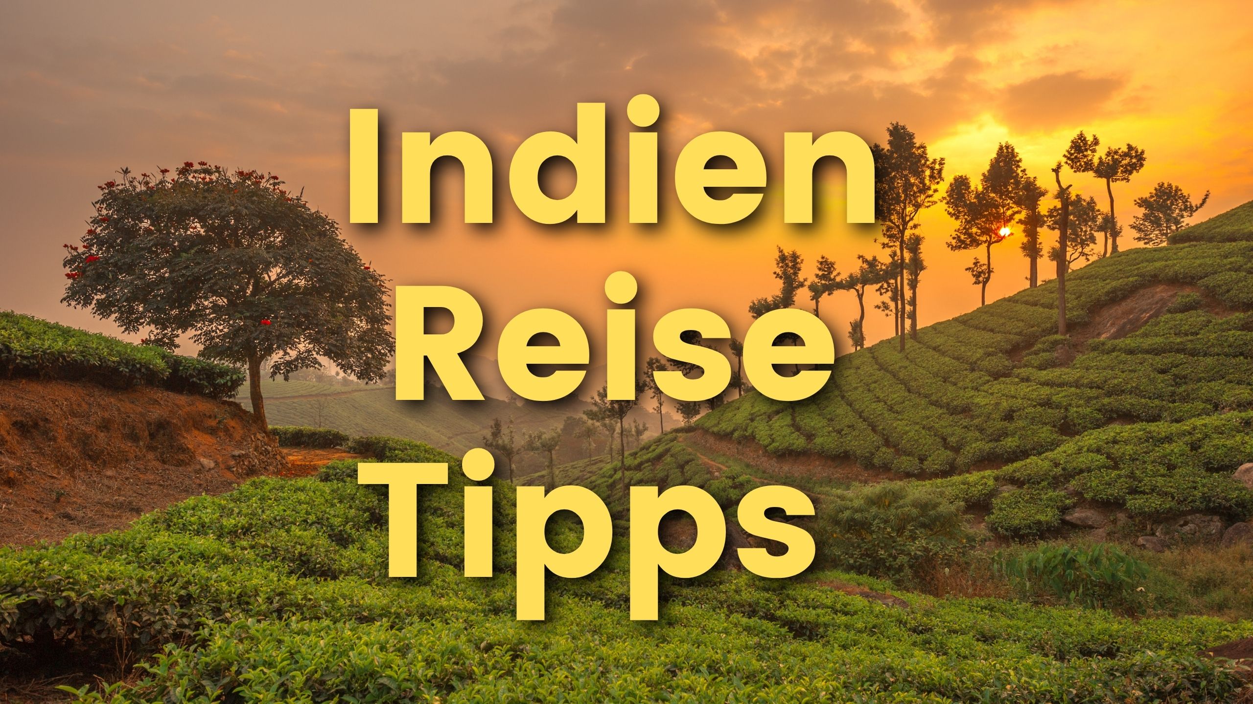 Indien Reise Tipps